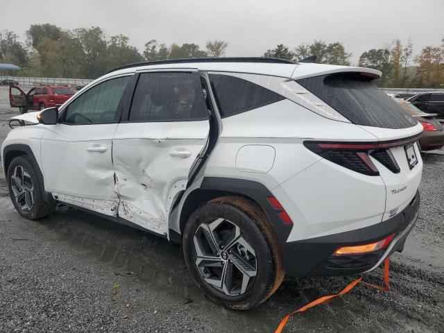 2023 HYUNDAI TUCSON LIM - KM8JECA11PU085105