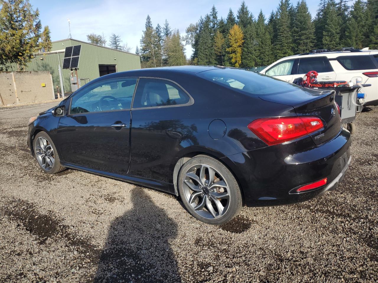 Lot #3317076981 2015 KIA FORTE SX