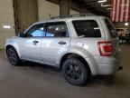 Lot #3303736425 2009 FORD ESCAPE XLT