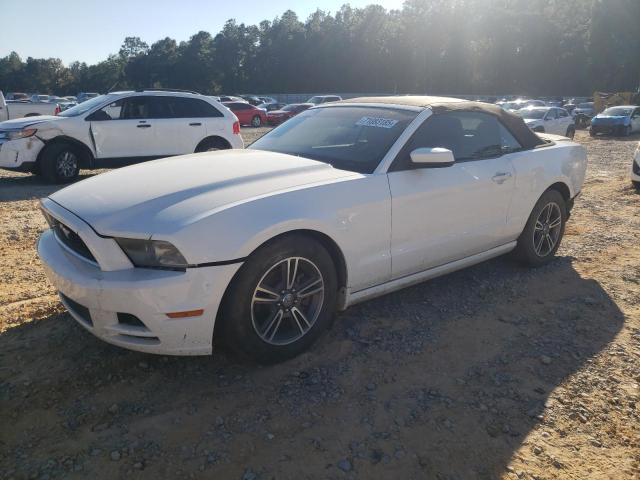 Global Auto Auctions: 2013 FORD MUSTANG