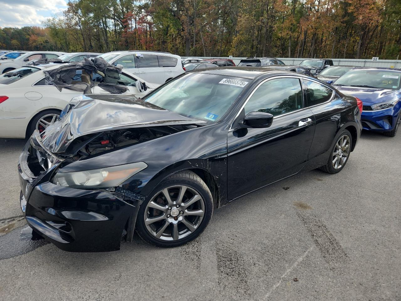 Lot #3293288430 2012 HONDA ACCORD EXL