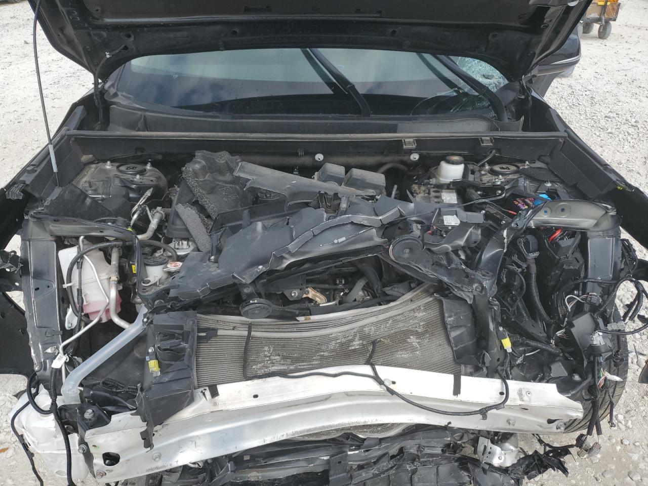 TOYOTA RAV4 XLE PREMIUM