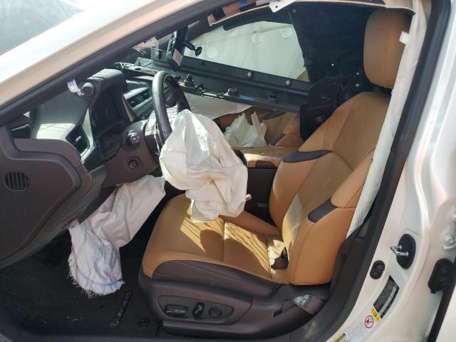 2019 LEXUS ES 350 - 58ABZ1B18KU036299