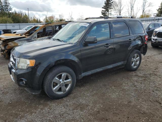 Global Auto Auctions: 2011 FORD ESCAPE LIM