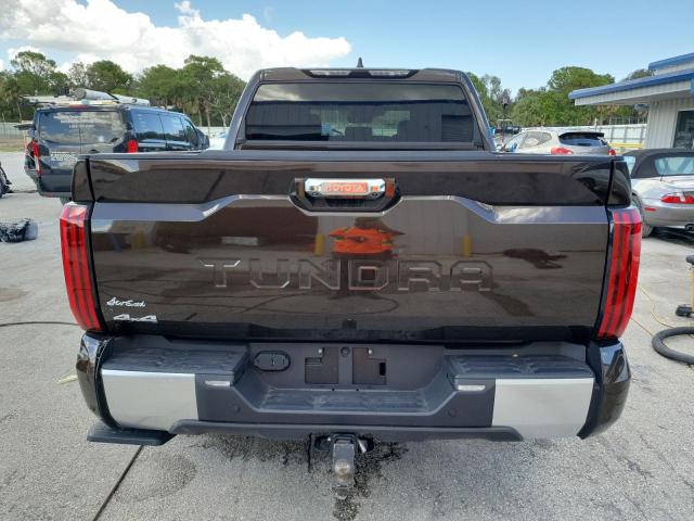 2025 TOYOTA TUNDRA CRE #3302843892