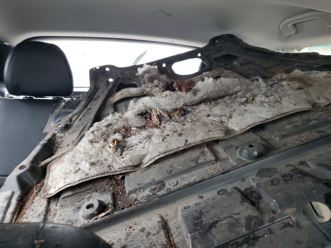 NISSAN ROGUE SPORT SL