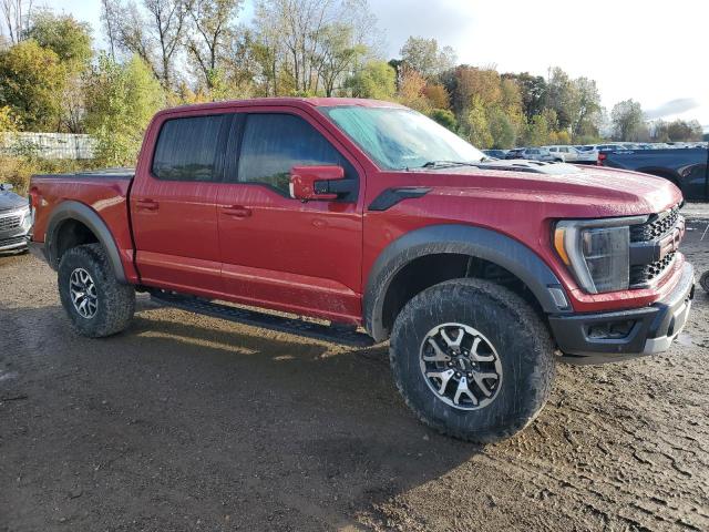 2022 FORD F150 RAPTO #3284839529