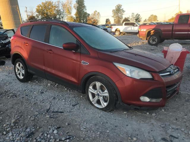 2014 FORD ESCAPE SE - 1FMCU9GX5EUC12929