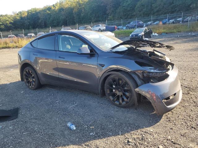 2023 TESLA MODEL Y - 7SAYGDEE5PA164060