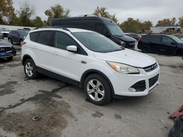 2013 FORD ESCAPE SE - 1FMCU0GX9DUD79515