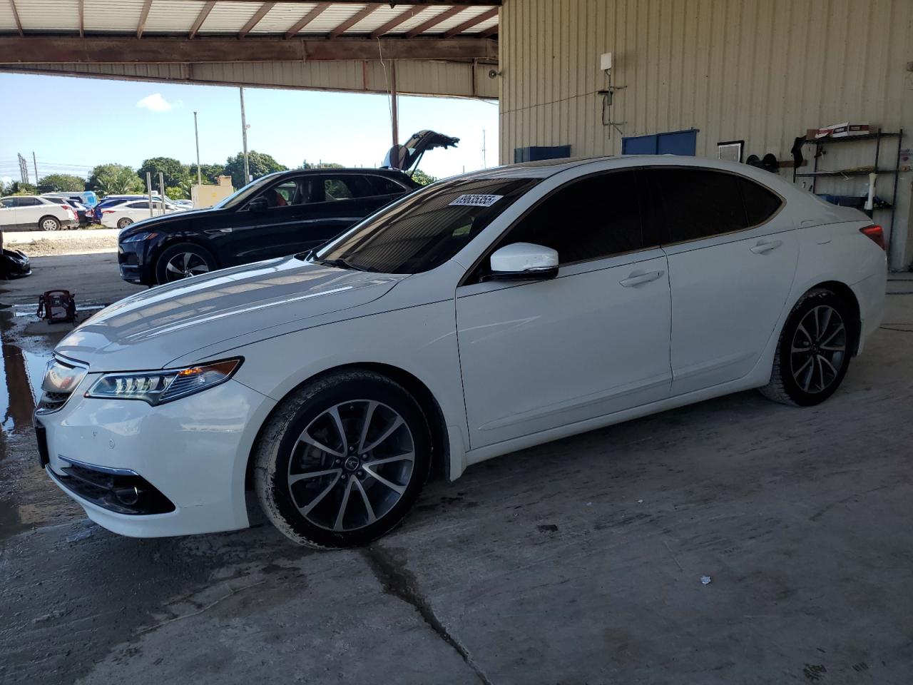 Lot #3287691036 2017 ACURA TLX ADVANC