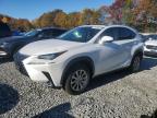 Lot #3294432498 2021 LEXUS NX 300H BA