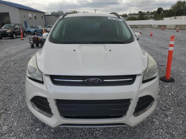 2014 FORD ESCAPE SE - 1FMCU0GX9EUD78558