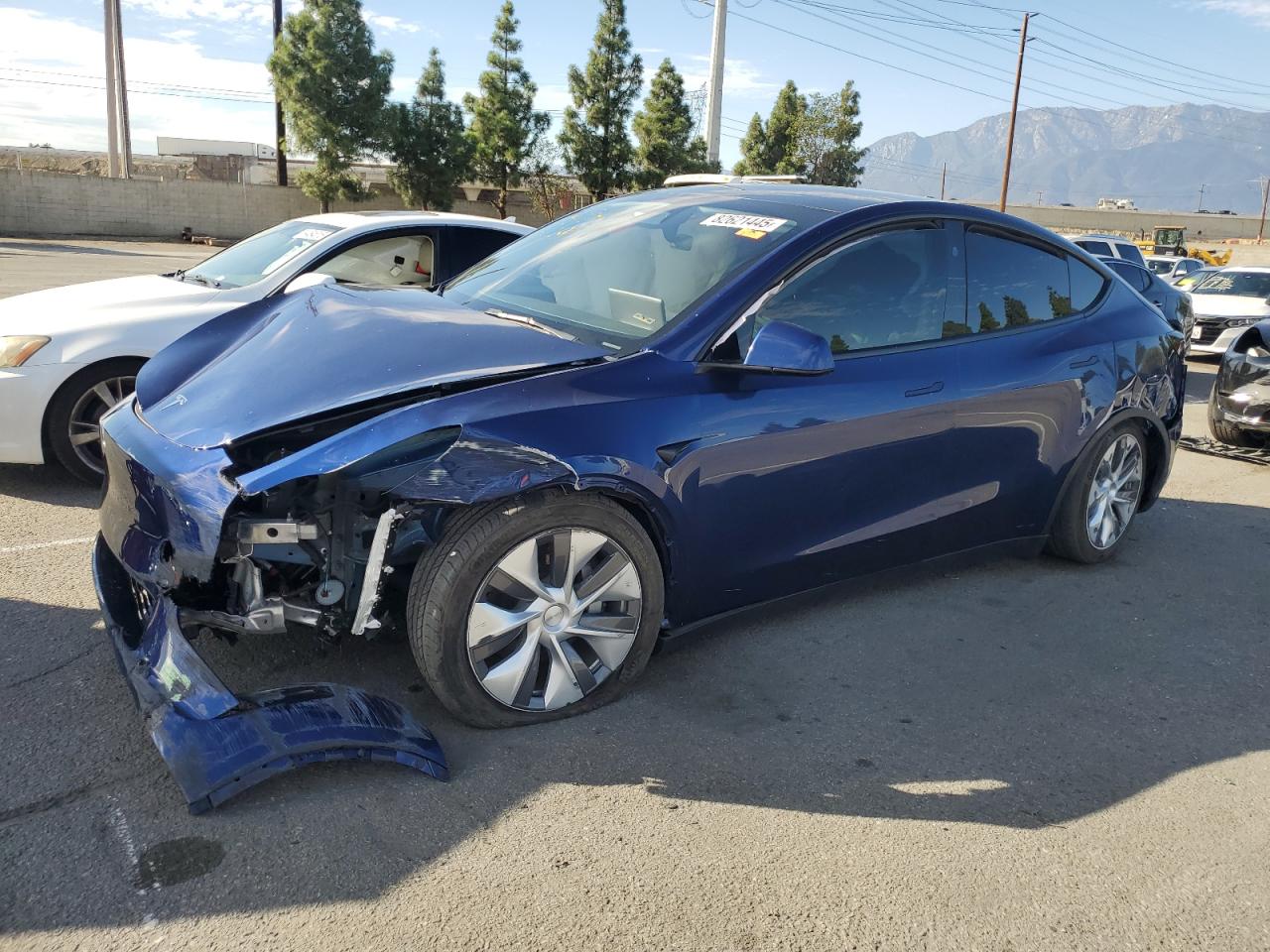 Lot #3298084174 2023 TESLA MODEL Y