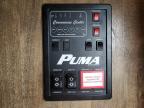 Lot #3315762348 2018 PUMA PALAMINO