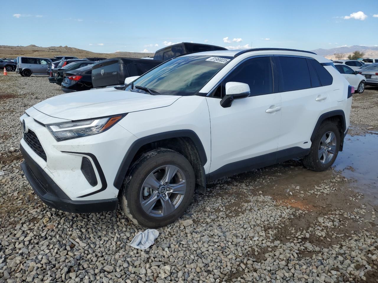 TOYOTA RAV4 XLE