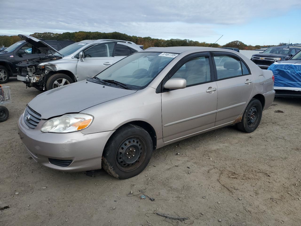 Lot #3274774273 2003 TOYOTA COROLLA CE
