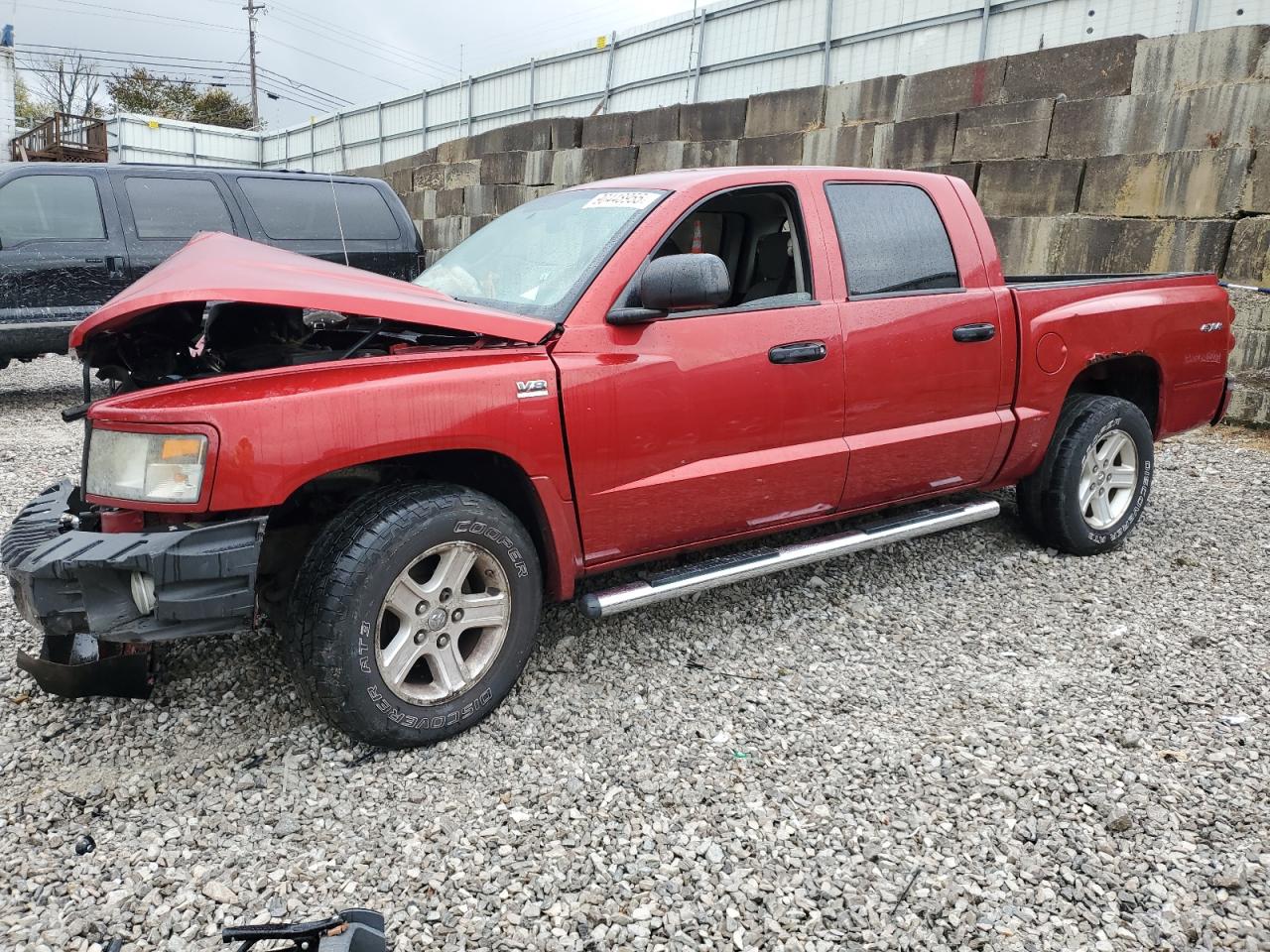 Lot #3285781700 2009 DODGE DAKOTA SXT