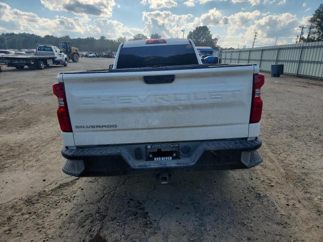 2025 CHEVROLET SILVERADO 3GCNAAED7SG244117