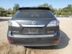 Lot #3296324432 2010 LEXUS RX 350