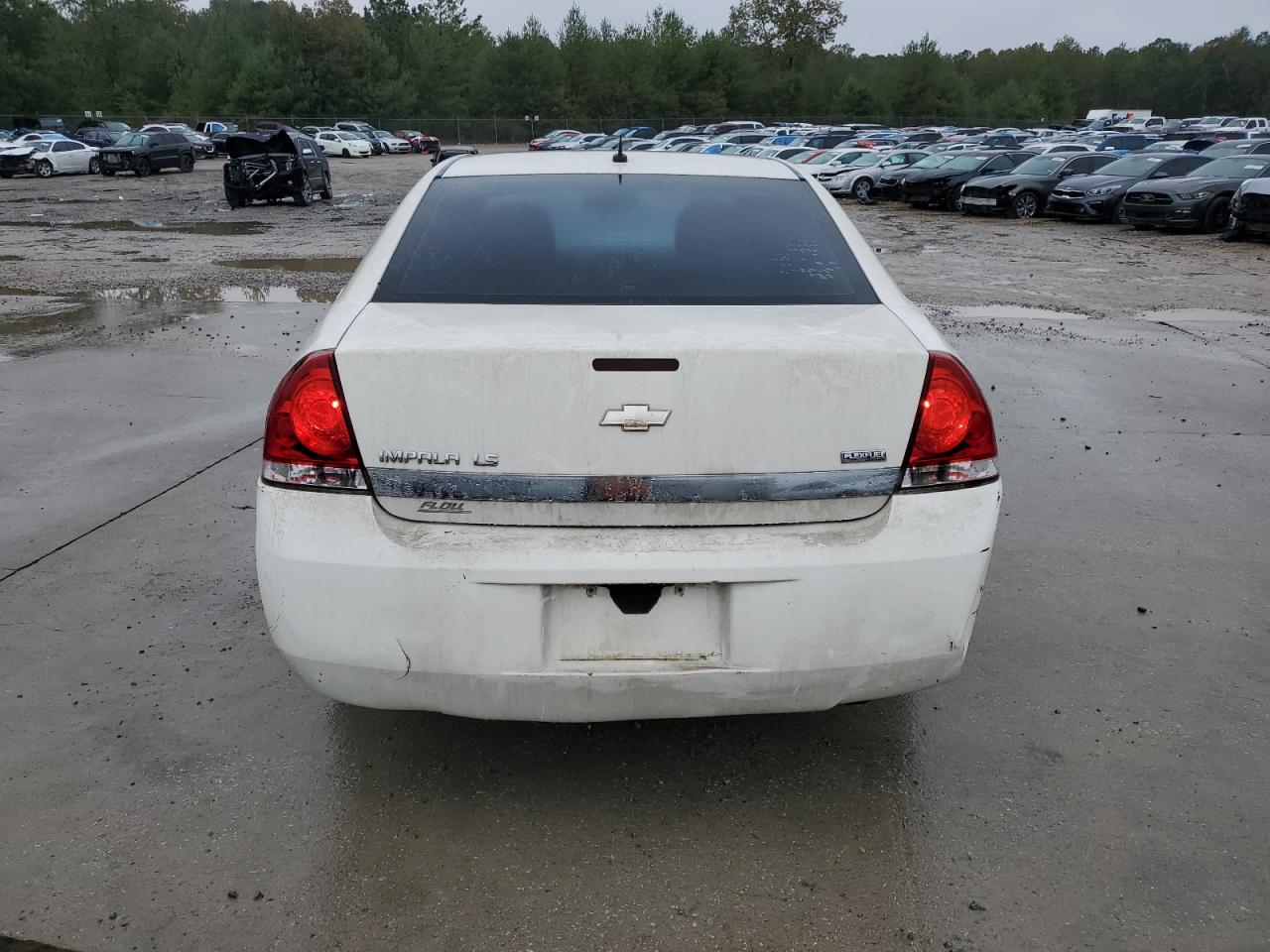 Lot #3290061273 2009 CHEVROLET IMPALA LS