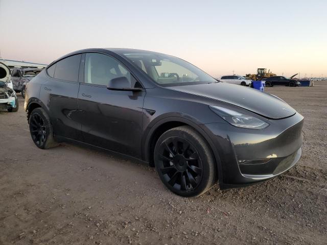 2024 TESLA MODEL Y #3302983609