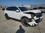 Lot #3316182885 2024 KIA TELLURIDE