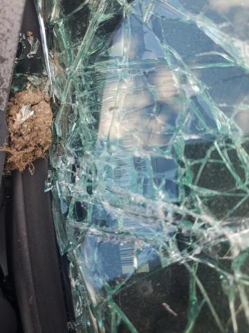 2011 CHEVROLET SILVERADO - 1GCRKSE33BZ124584