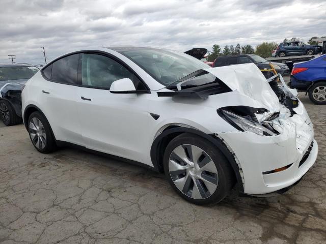 2022 TESLA MODEL Y #3298027164
