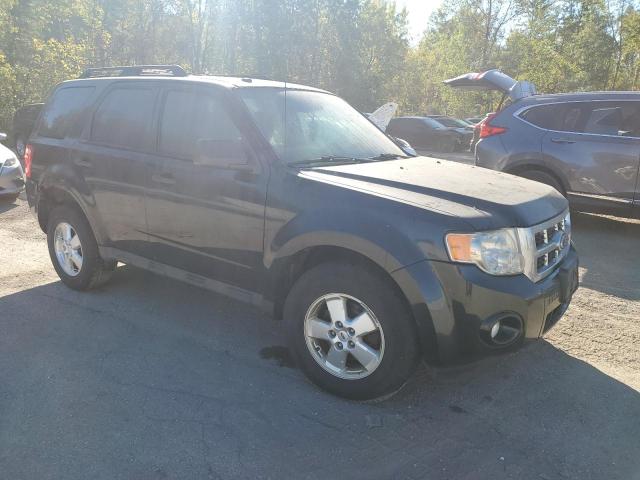 2010 FORD ESCAPE XLT - 1FMCU9D77AKB73688