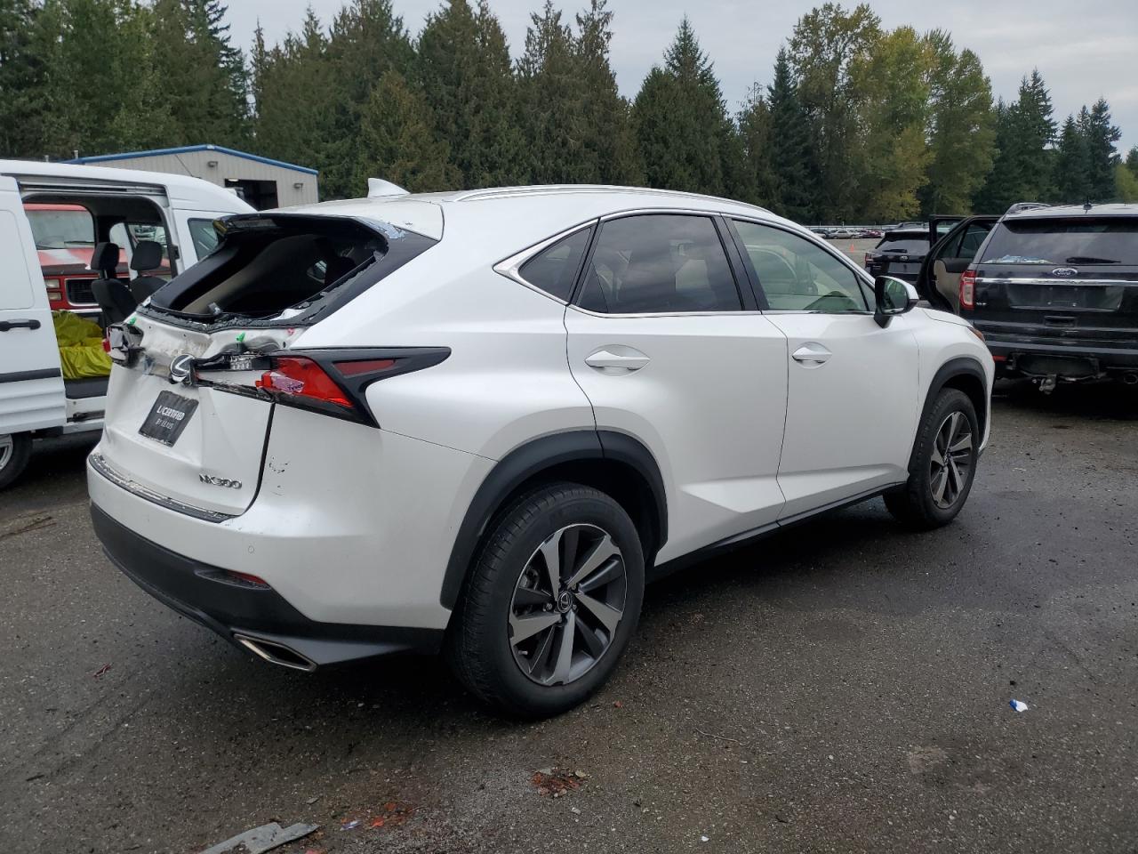 LEXUS NX 300