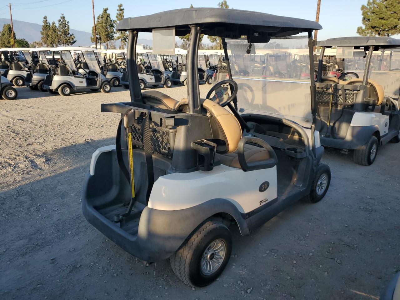 Lot #3263696688 2020 CLUB CAR TEMPO LITHIUM