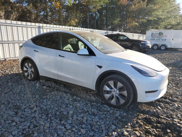 2023 TESLA MODEL Y #3311539237