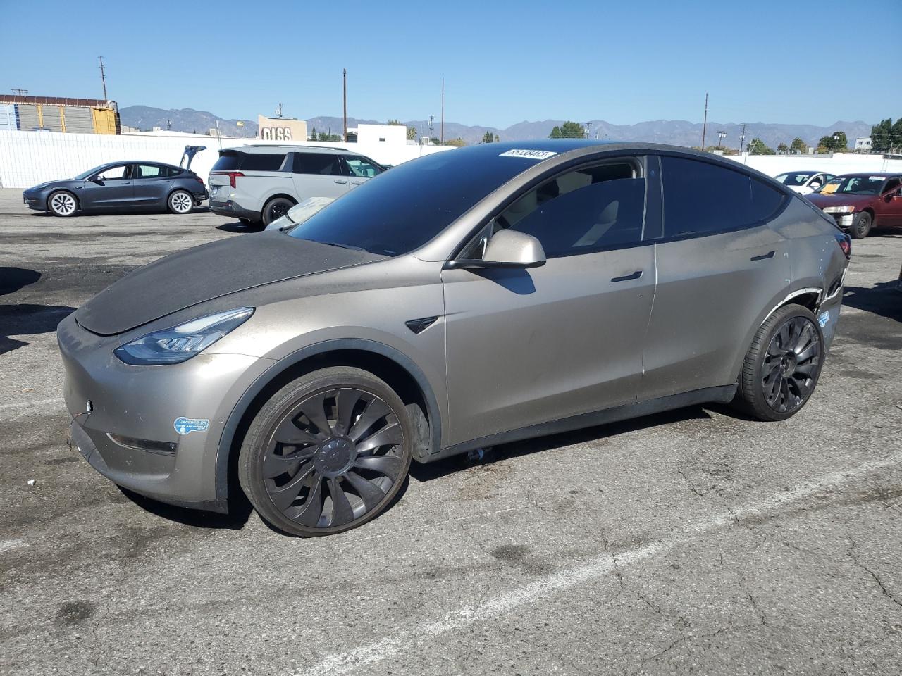 TESLA MODEL Y