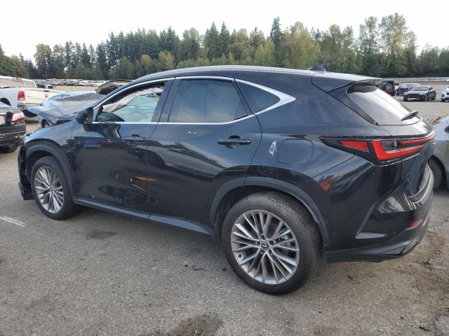 2024 LEXUS NX 350H BA 2T2HKCEZ1RC016874