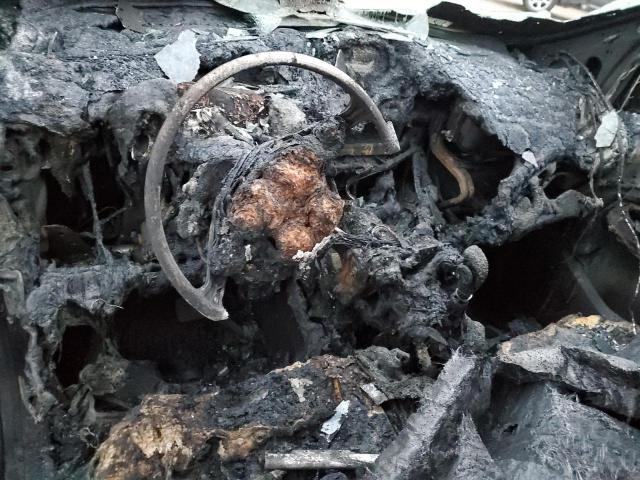 2014 FORD ESCAPE S - 1FMCU0F7XEUA41401