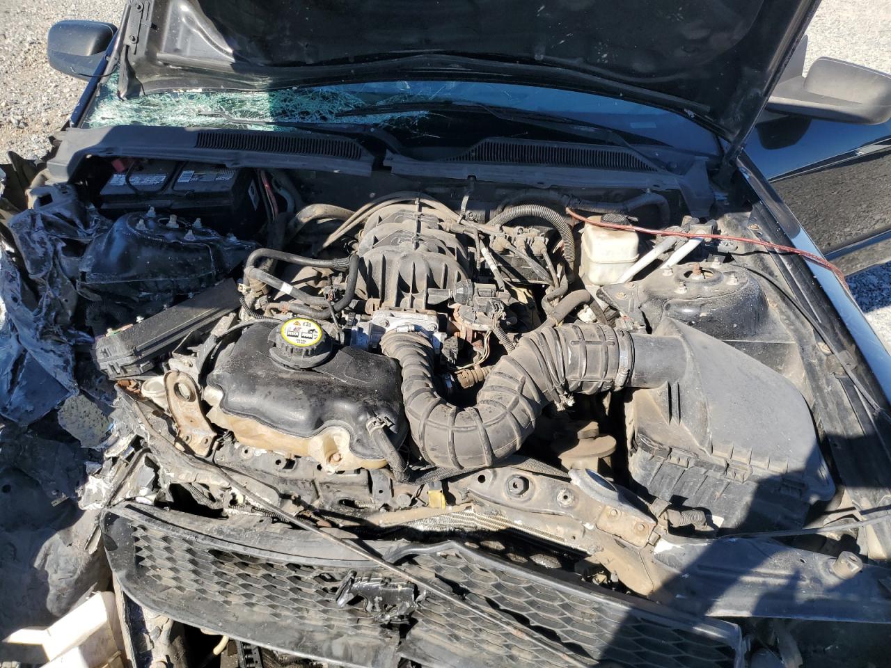 Lot #3308428274 2005 FORD MUSTANG