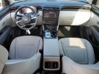 Lot #3297998047 2024 HYUNDAI TUCSON SEL
