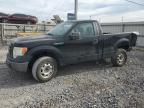 Lot #3303959688 2011 FORD F150