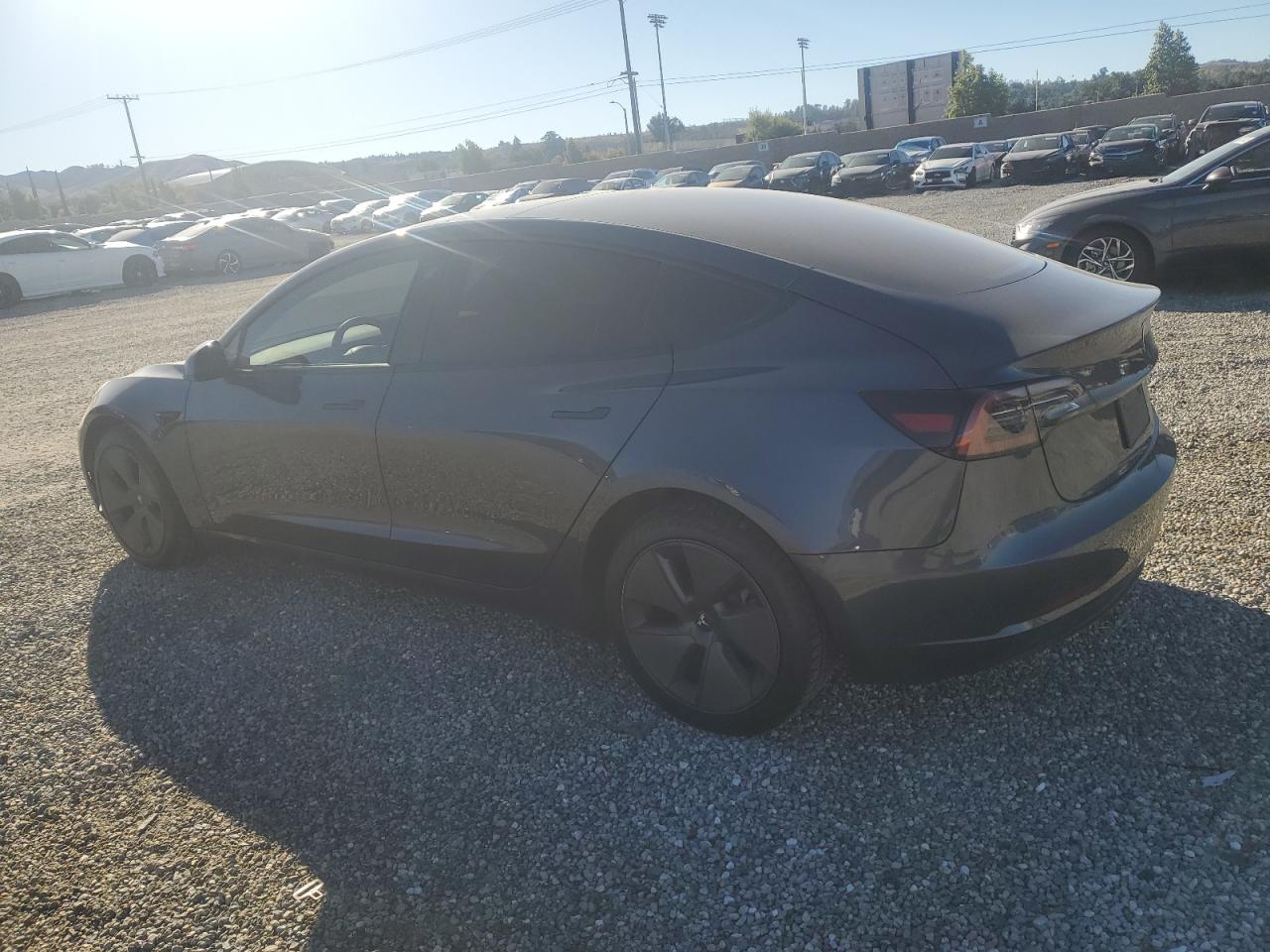 Lot #3302766377 2023 TESLA MODEL 3