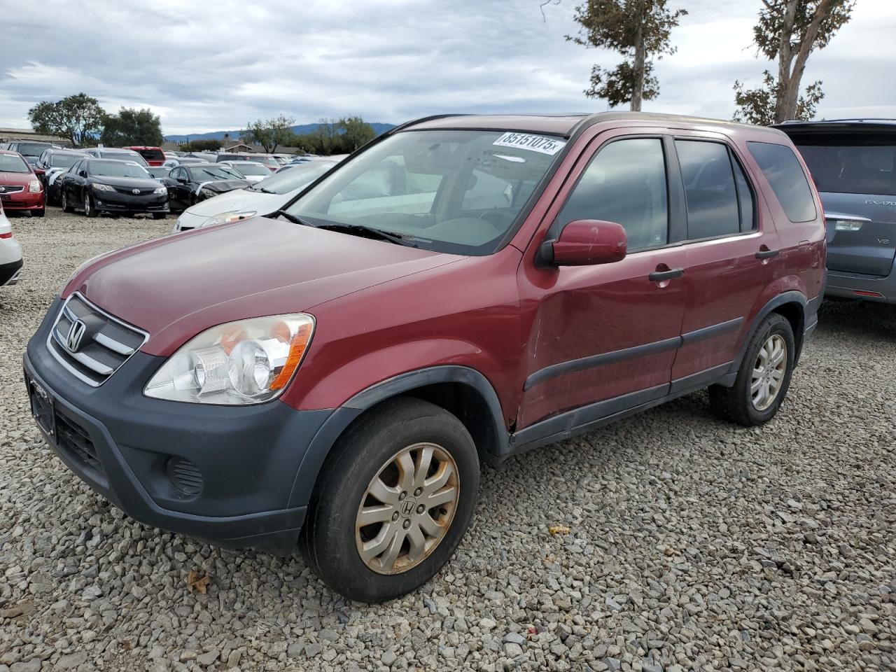  Salvage Honda Crv