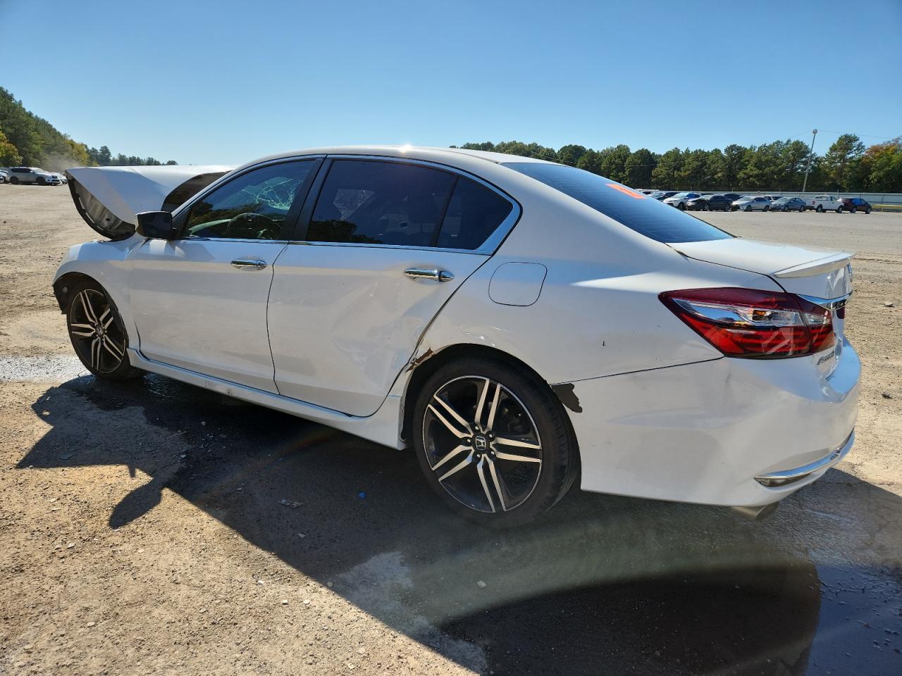 HONDA ACCORD SPORT SPECIAL EDITION