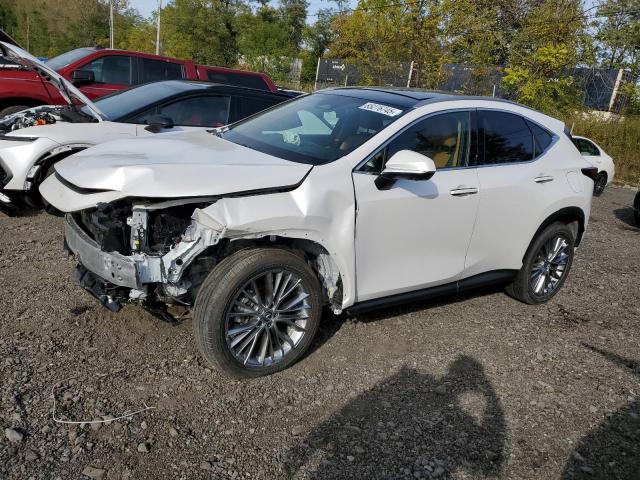 2025 LEXUS NX 350H BA 2T2HKCEZ0SC037592