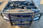 Lot #3304658914 1997 FORD F-250 HD REGULAR CAB