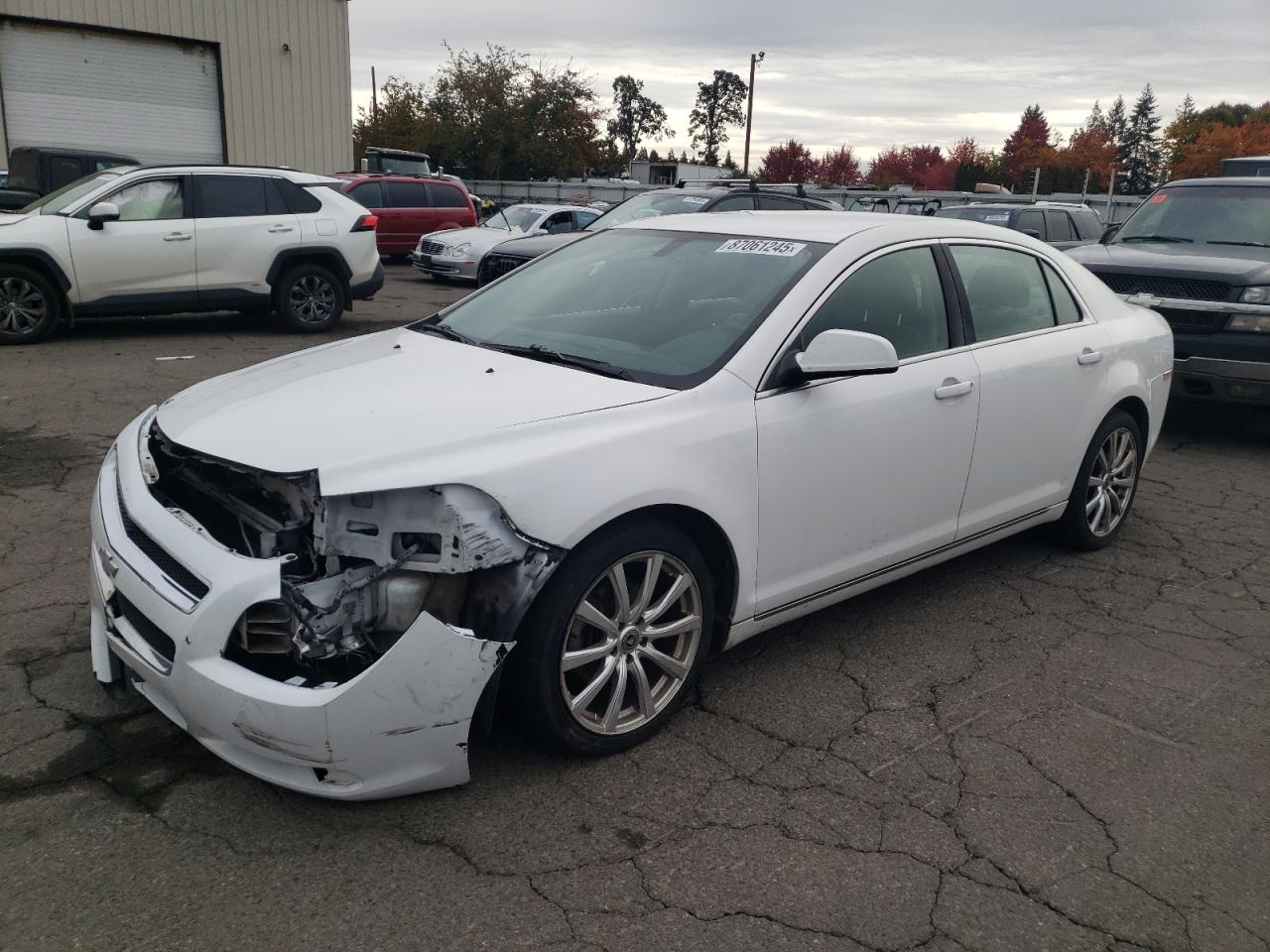 Lot #3274887110 2011 CHEVROLET MALIBU 2LT