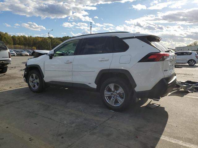 2023 TOYOTA RAV4 XLE #3269998981