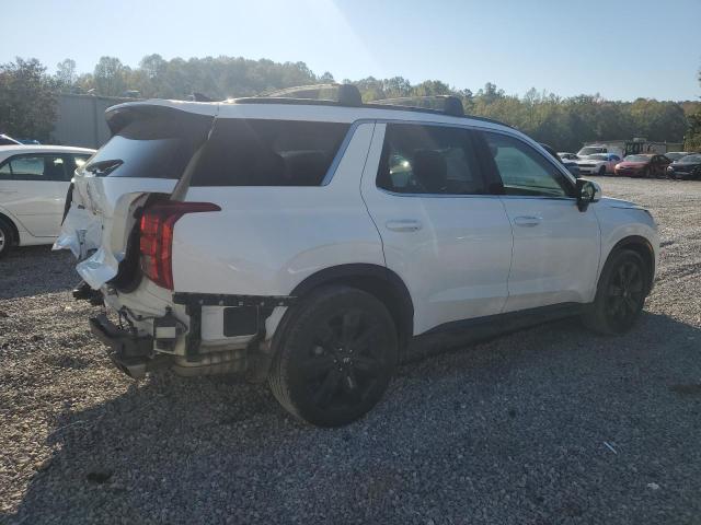 2024 HYUNDAI PALISADE X - KM8R34GE7RU755820