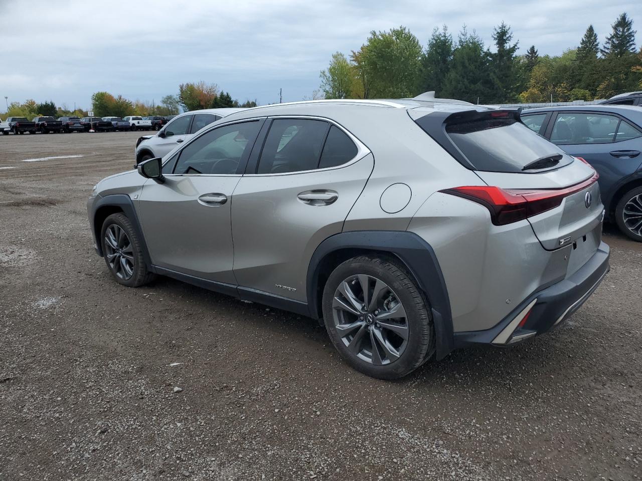 LEXUS UX 250H