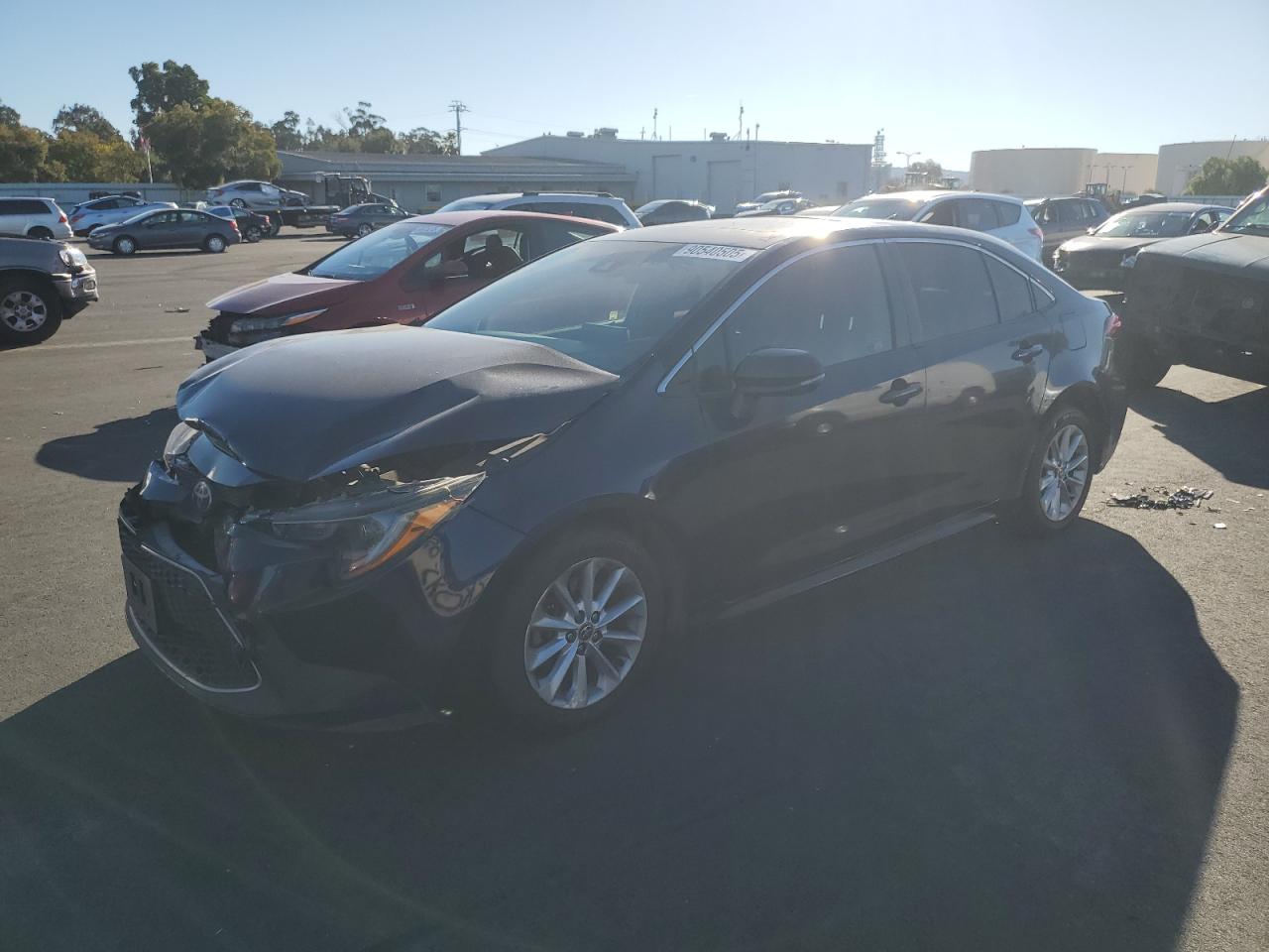 Lot #3301933487 2020 TOYOTA COROLLA XL