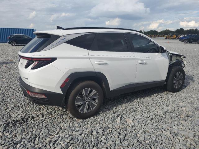 2023 HYUNDAI TUCSON BLU - KM8JBCA15PU087545